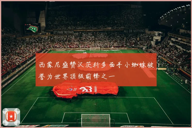 西蒙尼盛赞汉茨科多面手小蜘蛛被誉为世界顶级前锋之一