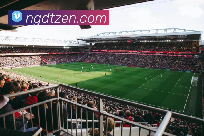 NG大舞台平台生态图